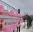В Туве назвали победительниц Республиканского чемпионата по автомногоборью "АвтоЛеди-2026" - ИА Тува-Онлайн