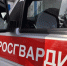 Кызылские росгвардейцы задержали подозреваемого в причинении тяжкого вреда здоровью - Росгвардия