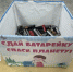Студенты-лесники продолжают экологическую акцию «Сдай батарейку — спаси планету» - ТувГУ