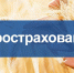 АГРОСТРАХОВАНИЕ–2026: ЗАЩИТИТЕ СВОИ ПОСЕВЫ ОТ НЕПРЕДВИДЕННЫХ СИТУАЦИЙ! - Министерство сельского хозяйства