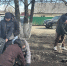В ТувГУ стартовали весенние субботники, призванные преобразить прилегающие территории учебных корпусов и студенческих общежитий - ТувГУ