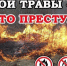 В инспекции пожарной безопасности Сибирского округа Росгвардии напоминают о рисках и требованиях в весенне-летний пожароопасный период - Росгвардия