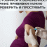 Готовимся к беременности: какие прививки нужно проверить и сделать заранее - РЦМП