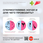 Спермограмма: когда и для чего проводить? Разбираемся без мифов и стеснения