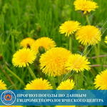 19 июня в Туве местами прогнозируются заморозки -2°С